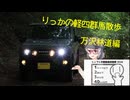 【万沢林道編】りっかの軽四群馬散歩【シンプル車載動画投稿祭2024】