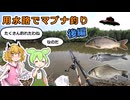 第17回　後編　いもグルテン単品勝負のマブナ釣り　秘密の用水路編　その3　【野釣り】【VOICEROIDフィッシング】【ミャク釣り】【ドボン仕掛け】