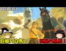 【ゆっくり実況】初めてのティアーズオブザキングダム！ part161【ティアーズオブザキングダム】