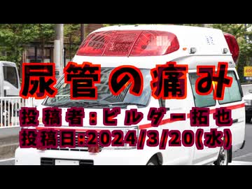 尿管の痛み　投稿者：ビルダー拓也