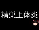 【ゆっくり朗読】ゆっくりさんと不思議な病気 その659