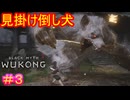 【黒神話：悟空#3】弱いけど見た目はカッコイイから、定身術で固定して持って帰ろうかな【Black Myth: Wukong】