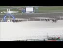2024年7月9日門別競馬7R ＪＲＡ認定ターフチャレンジ１ リコースパロー