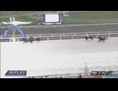 2024年7月9日門別競馬7R ＪＲＡ認定ターフチャレンジ１ レース回顧