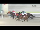 2024年7月11日大井競馬9R ジュライ賞(OP) ブラックストーム