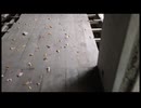 廃墟に潜む何か　「いる。」～怖すぎる投稿映像13本～Vol.41
