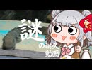 謎の耐久動画part2