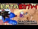 初めてのプレイヤーとの協力プレイ？【DBPM】#10