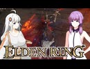 【エルデンDLC】きりきずは、影の地で。part10