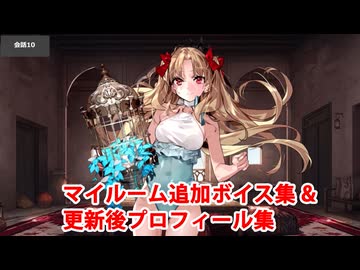 Fate/Grand Order スペース・エレシュキガル 追加マイルームボイス集＆更新後プロフィール集