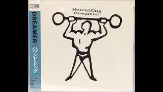 涙のフラワーロード  HOUND DOG  ライブ