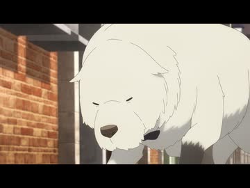 SPY×FAMILY Season 2 【MISSION：27】ボンドの生存戦略／ダミアンの野外学習