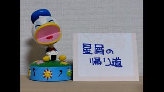星屑の帰り道
