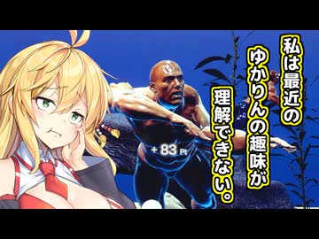 私は、最近のゆかりんの趣味が理解できない【VOICEROID実況】