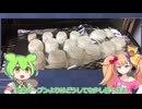 無職（24）「クッキーだと思って作ったんだ...ちん〇こ〇だった...」