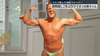 【69年ぶり】新日暮里サファリで猛獣の赤さんが誕生
