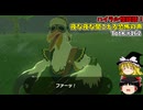 【ゆっくり実況】初めてのティアーズオブザキングダム！ part162【ティアーズオブザキングダム】