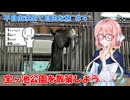 【シンプル車載動画投稿祭】不自由求めて自由な旅 #4 宝ヶ池公園を散策しよう【KTM250Adv】