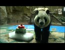 PandapiaLive_2024_08_29