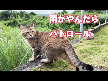 やっとパトロールに行けました
