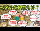 【ゆっくり解説】玄米は危険？～アブシジン酸～