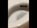 74667549057__7FBCAEBC-48FB-4B72-B0B9-50ECE0B2DD9E