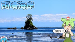 ずんだもんと行く「日本の絶景"雨晴海岸"」【観光・推し活・Vlog】