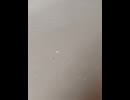 74667676040__ACDCDB18-9B5A-4FF9-8EDD-D64D26FAC966