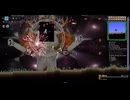【Terraria Calamity + Wrath of the Gods】Nameless Deity ボス戦