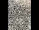 74667920967__41A9D616-AD18-4451-B3A2-D4AFB638D79C