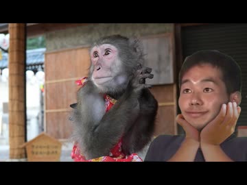黙れやこのSaloon！！ 猿と見るホモ回し【実写淫夢】