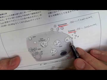 レプリコンワクチンのシェディング