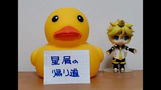 星屑の帰り道