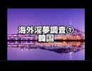海外淫夢調査　①韓国