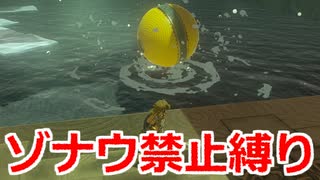 ゾナウ禁止縛りpart44【ティアキン/制限プレイ/ゼルダの伝説ティアーズオブザキングダム】