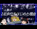 【ゆっくり解説】人類が二足歩行をはじめたのは股間を見せつけるため説
