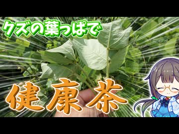 クズの葉っぱでビタミンたっぷり健康茶♪