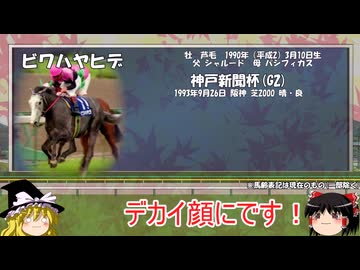 名馬解説　ビワハヤヒデについて