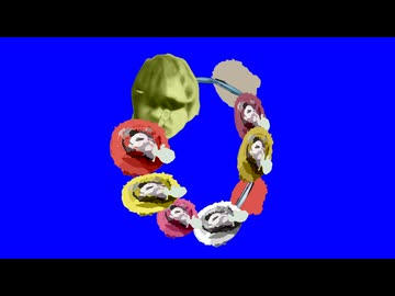 キュワワー拓也BB