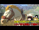【ゆっくり実況】初めてのティアーズオブザキングダム！ part163【ティアーズオブザキングダム】