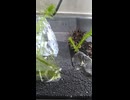 練習　MOV_0345  note026