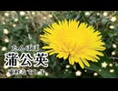 【オリジナル曲】蒲公英/壷村なでし子【MV】