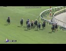 シルバーレイン 5馬身差で勝ち上がり【女子アナ実況】