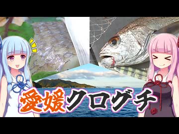 【釣りのあとには♪】瀬戸内の謎魚・クログチを釣る！【ボ釣りオフ】