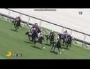 カムニャック　新馬