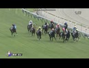 マスカレードボール　新馬