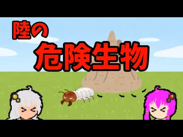 【VOICEROID解説】ゆかり先輩と見る危険生物【陸編⑰】