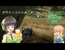 【セイカフェス2024】京町セイカはお酒の為にドン勝を【京町セイカ実況プレイ】