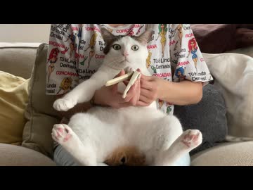 ねこの爪切り