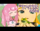 【ゼル伝BotW】茜ちゃんは休日にハイラルを歩く　92歩目【A.I.VOICE実況】